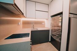 Normanton Park (D5), Apartment #507970621
